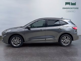 FORD Kuga 2.5 full hybrid st-line x 2wd 190cv cvt