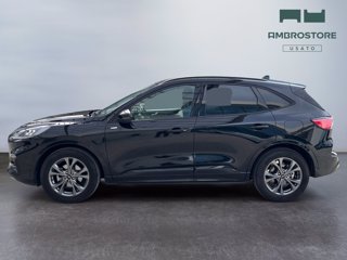 FORD Kuga 1.5 ecoboost st-line 2wd 150cv