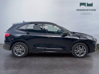 FORD Kuga 1.5 ecoboost st-line 2wd 150cv