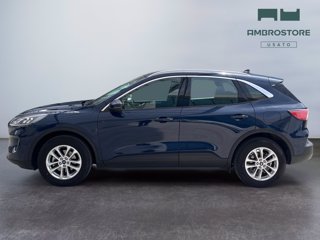 FORD Kuga 2.0 ecoblue mhev titanium business 2wd 150cv