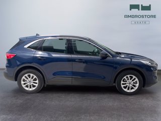 FORD Kuga 2.0 ecoblue mhev titanium business 2wd 150cv