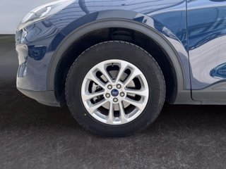 FORD Kuga 2.0 ecoblue mhev titanium business 2wd 150cv