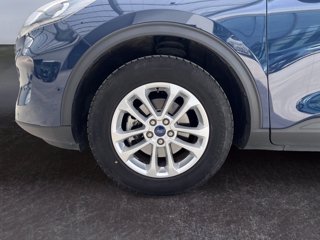 FORD Kuga 2.0 ecoblue mhev titanium business 2wd 150cv