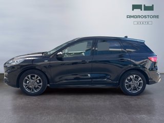 FORD Kuga 2.5 full hybrid st-line x 2wd 190cv cvt