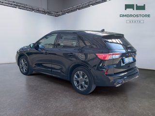 FORD Kuga 2.5 full hybrid st-line x 2wd 190cv cvt