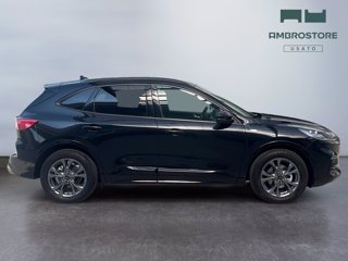 FORD Kuga 2.5 full hybrid st-line x 2wd 190cv cvt
