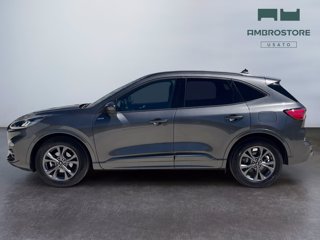 FORD Kuga 1.5 ecoboost st-line 2wd 150cv