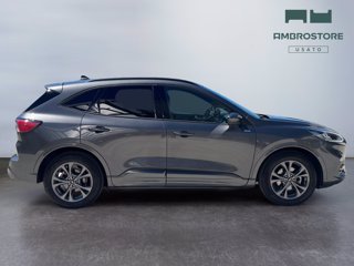FORD Kuga 1.5 ecoboost st-line 2wd 150cv