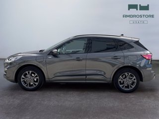 FORD Kuga 2.5 phev st-line 2wd 225cv cvt