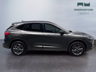 FORD Kuga 2.5 phev st-line 2wd 225cv cvt