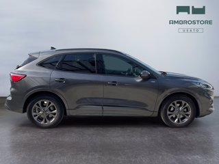 FORD Kuga 2.5 full hybrid st-line x 2wd 190cv cvt