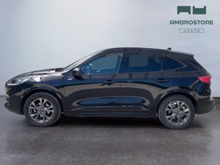 FORD Kuga 2.5 phev st-line 2wd 225cv cvt
