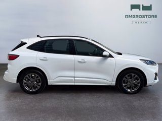 FORD Kuga 2.5 full hybrid st-line 2wd 190cv cvt