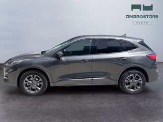 FORD Kuga 2.5 phev st-line 2wd 225cv cvt