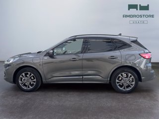 FORD Kuga 2.5 phev st-line 2wd 225cv cvt