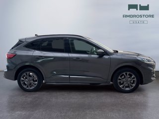 FORD Kuga 2.5 phev st-line 2wd 225cv cvt