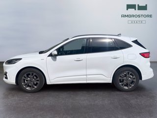 FORD Kuga 2.5 full hybrid st-line 2wd 190cv cvt