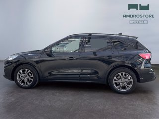 FORD Kuga 2.5 full hybrid st-line x 2wd 190cv cvt