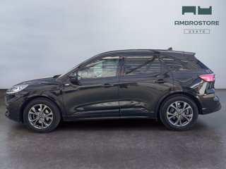 FORD Kuga 2.5 full hybrid st-line x 2wd 190cv cvt