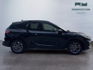 FORD Kuga 2.5 full hybrid st-line x 2wd 190cv cvt