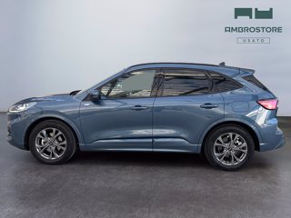 FORD Kuga 2.5 full hybrid st-line x 2wd 190cv cvt