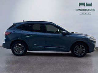 FORD Kuga 2.5 full hybrid st-line x 2wd 190cv cvt
