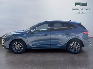 FORD Kuga 2.5 full hybrid st-line x 2wd 190cv cvt