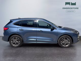 FORD Kuga 2.5 full hybrid st-line x 2wd 190cv cvt