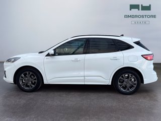 FORD Kuga 2.5 full hybrid st-line 2wd 190cv cvt