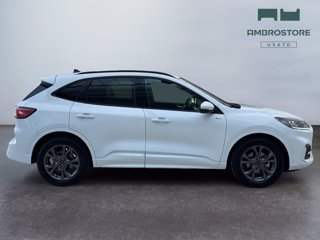 FORD Kuga 2.5 full hybrid st-line 2wd 190cv cvt