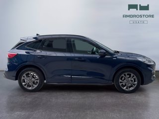 FORD Kuga 2.5 phev st-line 2wd 225cv cvt