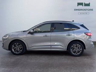 FORD Kuga 2.5 full hybrid st-line 2wd 190cv cvt