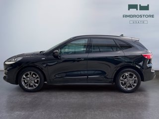 FORD Kuga 2.5 full hybrid st-line 2wd 190cv cvt