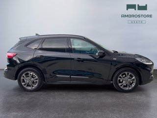 FORD Kuga 2.5 full hybrid st-line 2wd 190cv cvt