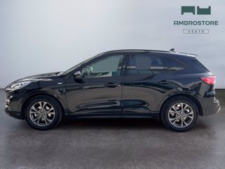 FORD Kuga 2.5 full hybrid st-line x 2wd 190cv cvt