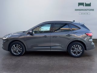FORD Kuga 2.5 phev st-line 2wd 225cv cvt