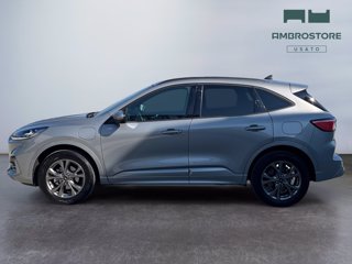 FORD Kuga 2.5 phev st-line 2wd 225cv cvt