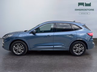 FORD Kuga 2.5 phev st-line x 2wd 225cv cvt