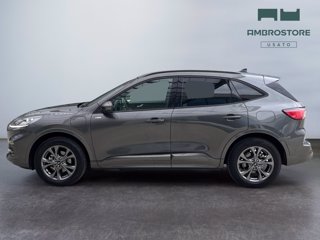 FORD Kuga 2.5 phev st-line x 2wd 225cv cvt