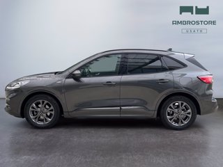 FORD Kuga 1.5 ecoblue st-line x 2wd 120cv auto