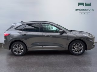 FORD Kuga 1.5 ecoblue st-line x 2wd 120cv auto