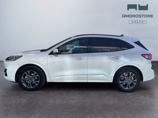 FORD Kuga 2.5 phev st-line x 2wd 225cv cvt
