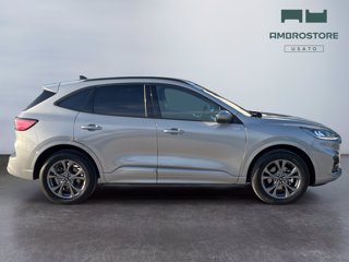 FORD Kuga 2.5 phev st-line 2wd 225cv cvt