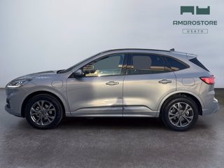 FORD Kuga 2.5 phev st-line 2wd 225cv cvt