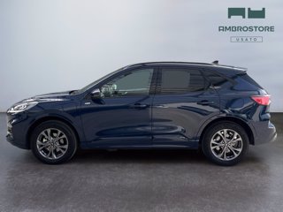 FORD Kuga 2.5 phev st-line 2wd 225cv cvt