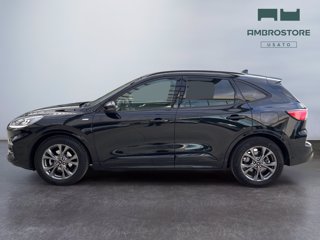 FORD Kuga 1.5 ecoblue st-line 2wd 120cv