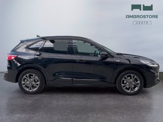 FORD Kuga 1.5 ecoblue st-line 2wd 120cv