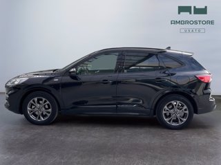 FORD Kuga 2.5 full hybrid st-line 2wd 190cv cvt