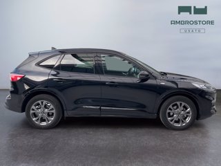 FORD Kuga 2.5 full hybrid st-line 2wd 190cv cvt