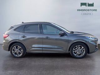 FORD Kuga 2.0 ecoblue st-line x 2wd 120cv auto